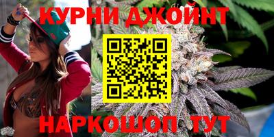 ешки Гай