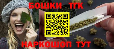 ешки Гай