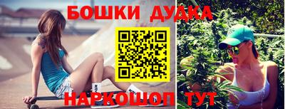 ешки Гай