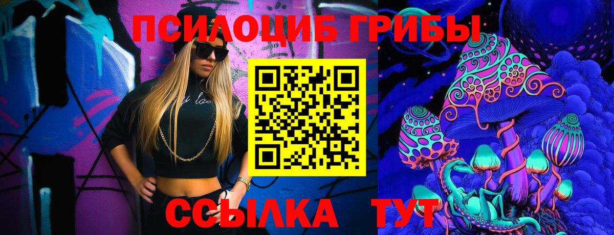 Галлюциногенные грибы MAGIC MUSHROOMS  Вход с VPN  Петропавловск-Камчатский 